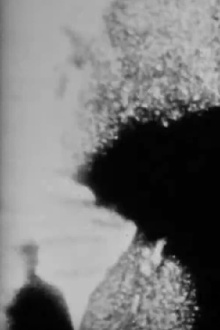 Under the Tree Trailer
