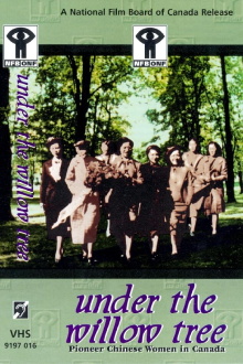 Under the Willow Tree: Pioneer Chinese Women in Canada Trailer