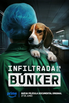Undercover. Inside the Bunker Trailer