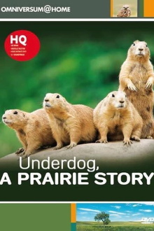 Underdog, A Prairie Story Trailer