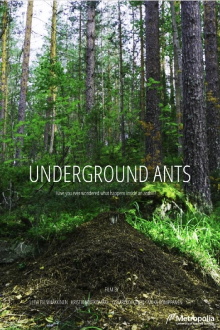 Underground Ants Trailer