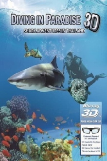 Underwater Thailand: Swimming with Sharks Trailer