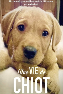 Une vie de chiot Trailer