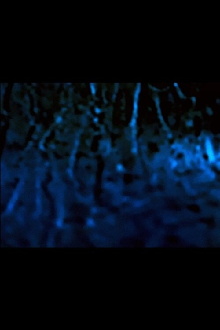 Universal Consciousness Trailer