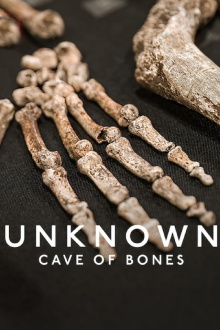 Unknown: Cave of Bones Trailer