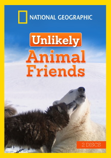 Unlikely Animal Friends Trailer
