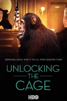 Unlocking the Cage Trailer