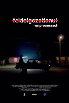 Unprocessed Trailer