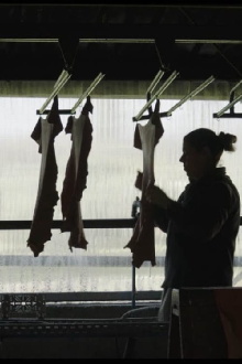 Unskinned Trailer