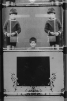 Unstable Figures Amidst Vegetation Trailer