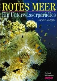 Unterwasserparadies: Rotes Meer Trailer
