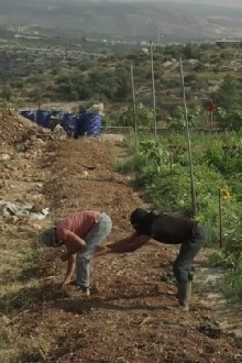 Untold Revolution: Food Sovereignty in Palestine Trailer