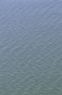 Upstream (into America) Trailer