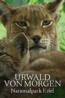 Urwald von morgen – Nationalpark Eifel Trailer