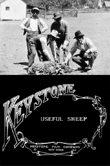 Useful Sheep Trailer