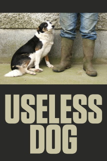 Useless Dog Trailer