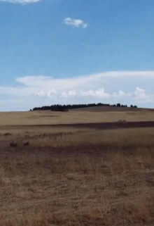 Utah Trailer