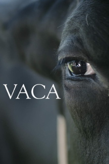 Vaca Trailer