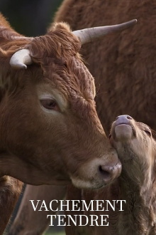 Vachement tendre Trailer