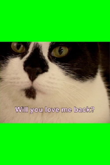 Valentine for Perfect Strangers Trailer