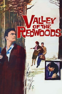 Valley of the Redwoods Trailer