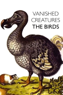 Vanished Creatures: The Birds Trailer