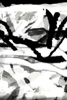 Variations on Two Photographs of Tina Modotti Trailer