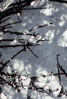 Variations sur Marilou Trailer