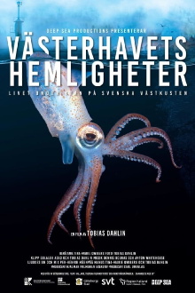 Västerhavets Hemligheter Trailer