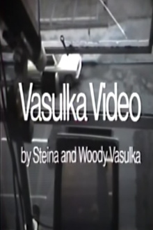 Vasulka Video Trailer
