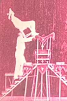 Vaudeville Deluxe Trailer