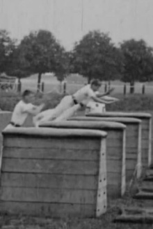 Vaulting Horse Display Trailer