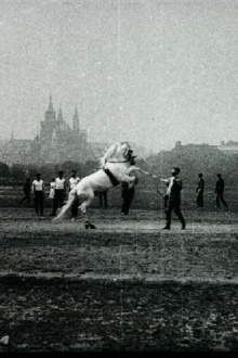 Vaulting of the Prague Sokol Equestrian Section Trailer