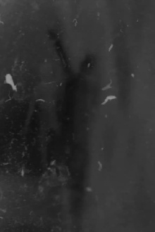 Veiled Trailer