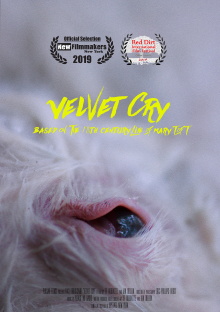 VELVET CRY Trailer