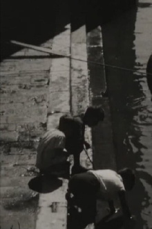 Venezia Trailer