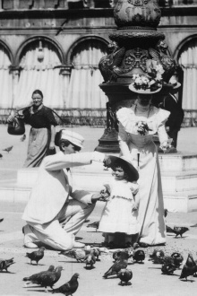 Venice, Feeding the Pigeons in St. Mark's Square Trailer