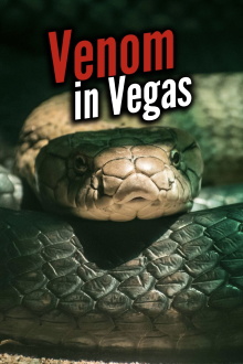 Venom In Vegas Trailer