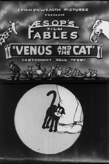 Venus and the Cat Trailer