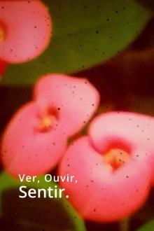 Ver, Ouvir, Sentir. Trailer