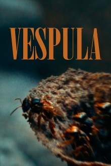 Vespula Trailer