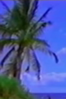 Vexation Island Trailer