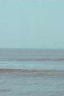 Vibrating Horizon Trailer