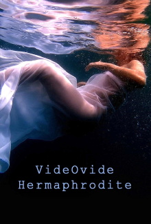 VideOvide Hermaphrodite Trailer