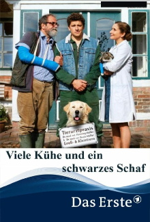 Viele Kühe und ein schwarzes Schaf Trailer