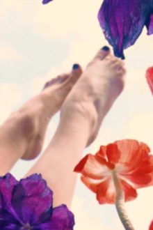 Vignette: Legs Trailer