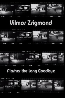 Vilmos Zsigmond Flashes 'The Long Goodbye' Trailer