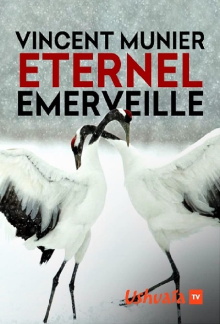 Vincent Munier, éternel émerveillé Trailer