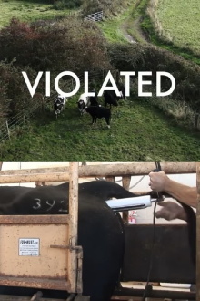 Violated Trailer