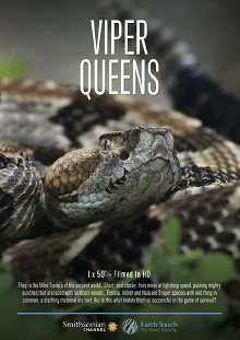 Viper Queens Trailer